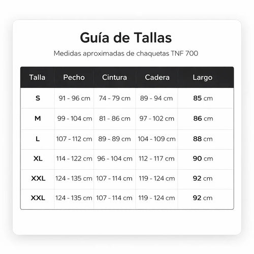 Chaqueta The nort face nupse 700