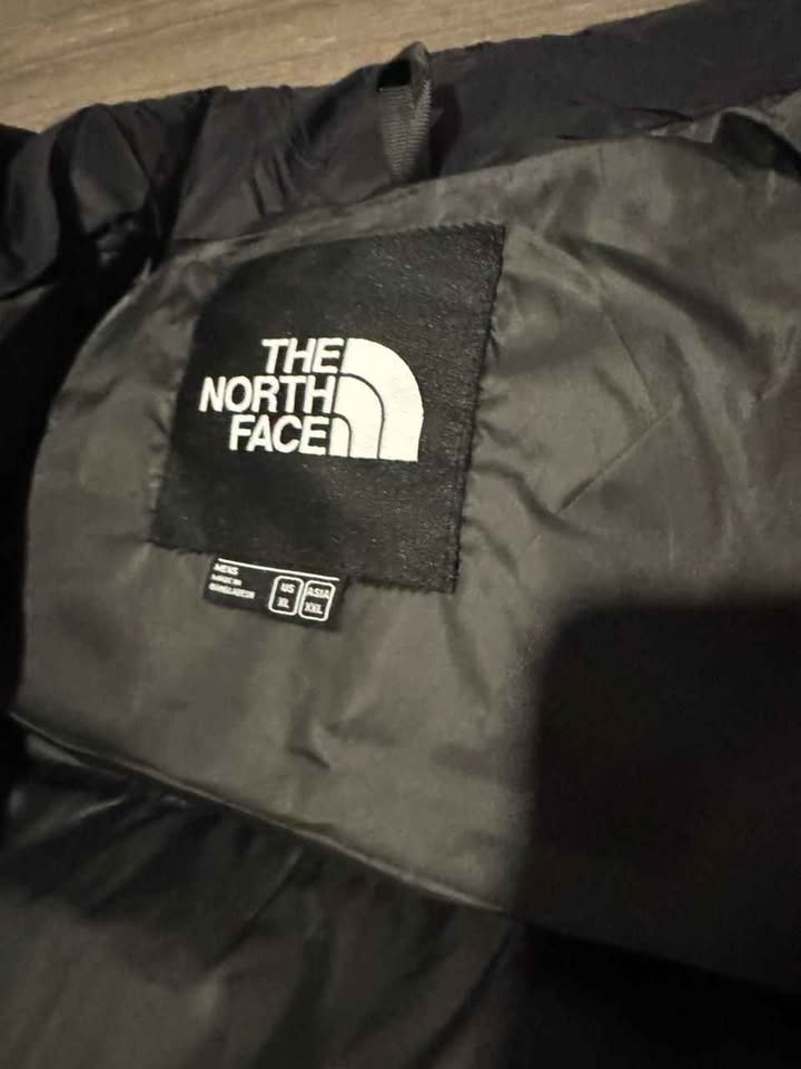 Chaqueta The nort face nupse 700