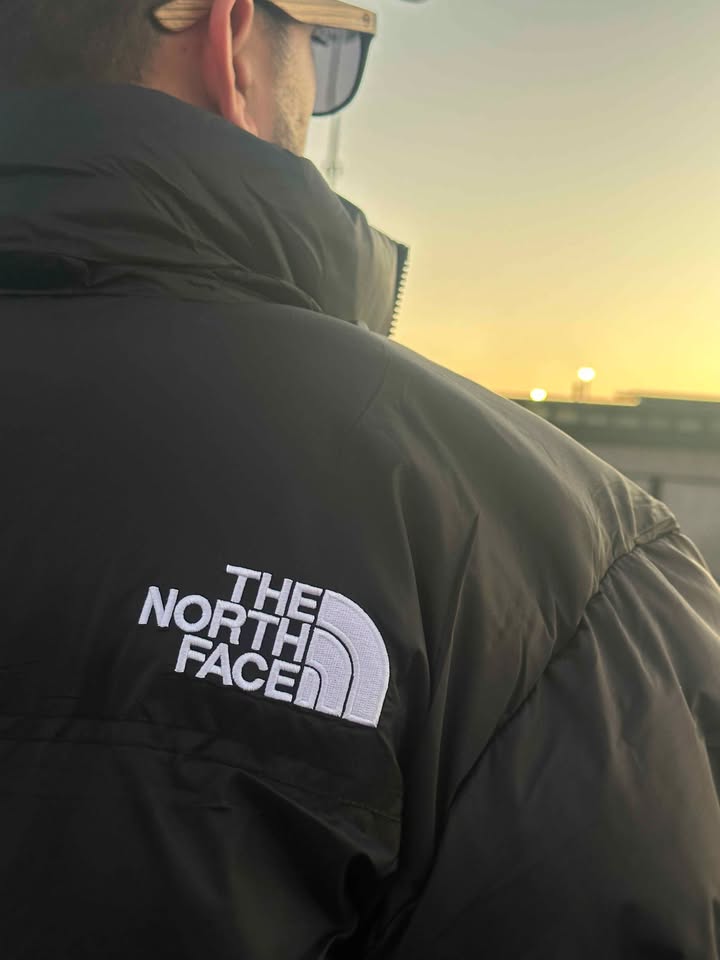 Chaqueta The nort face nupse 700