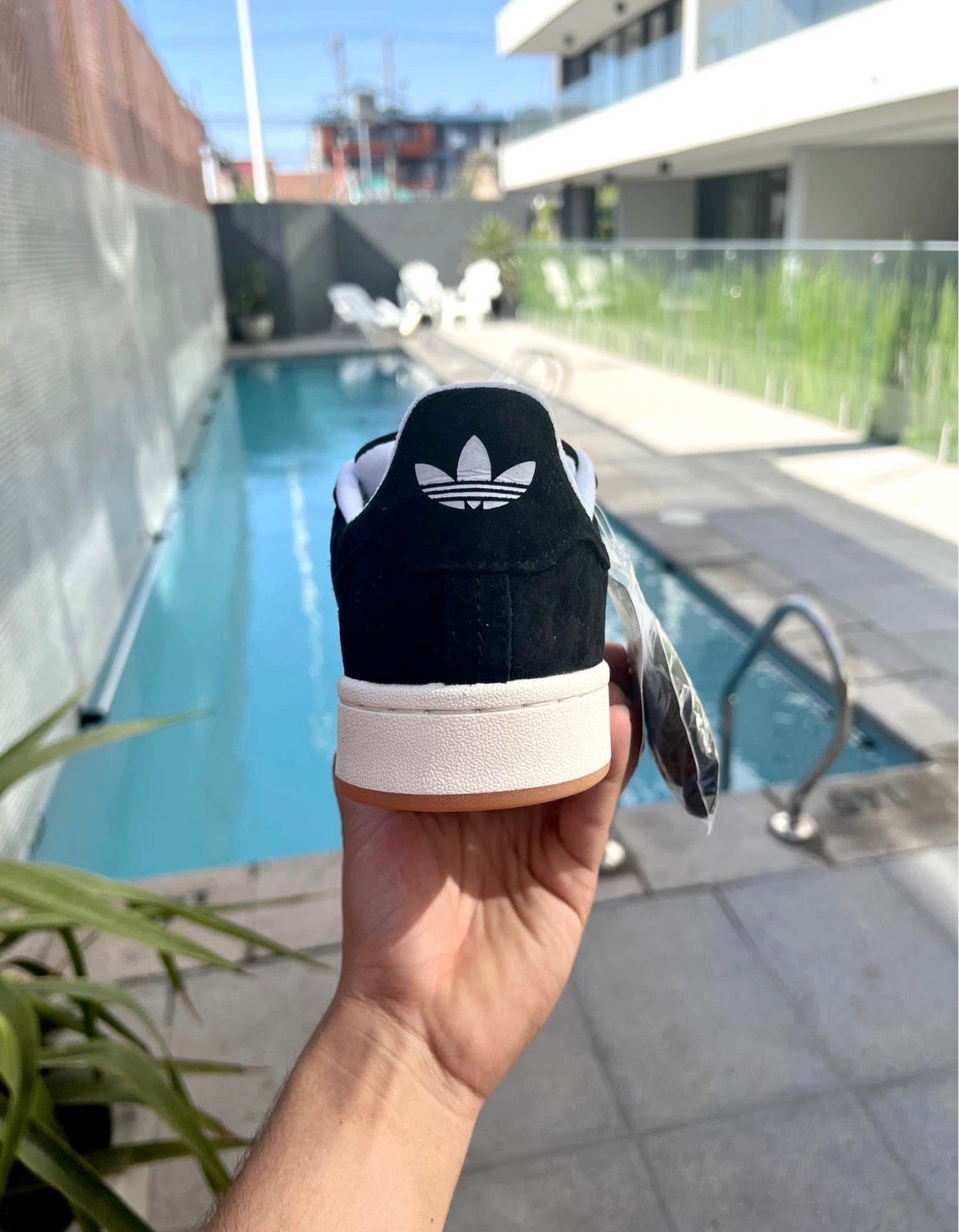 Adidas campus